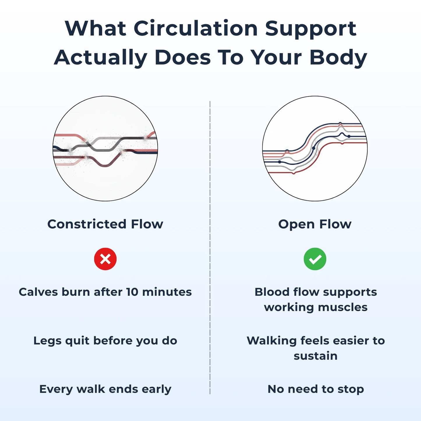 Daily Circulation Support
