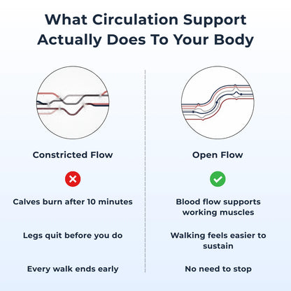 Daily Circulation Support